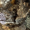 Burial Ground