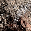 Wreckage