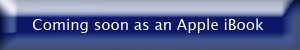 Button Glass Square iBook